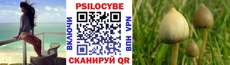 наркота  omg ТОР  Псилоцибиновые грибы мицелий  Мценск 