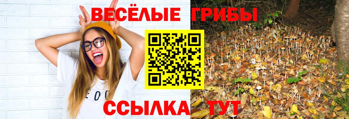 Галлюциногенные грибы ЛСД Мценск
