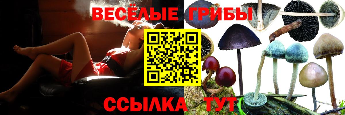сколько стоит  Псилоцибиновые грибы прущие грибы  Галлюциногенные грибы мицелий  Вход с VPN  Мценск 